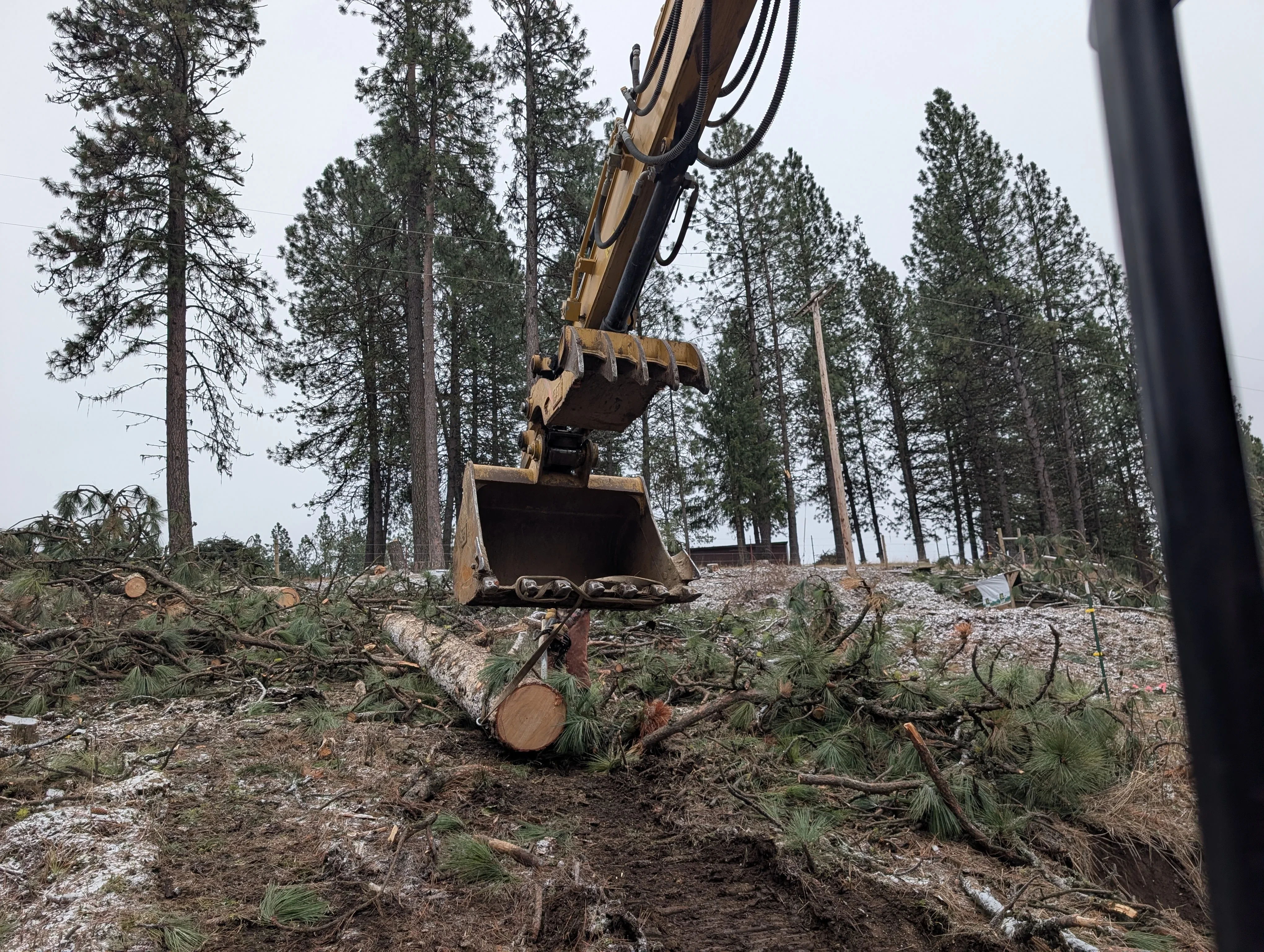 Excavator with bucket clearing felled logs and forest debris among pine trees