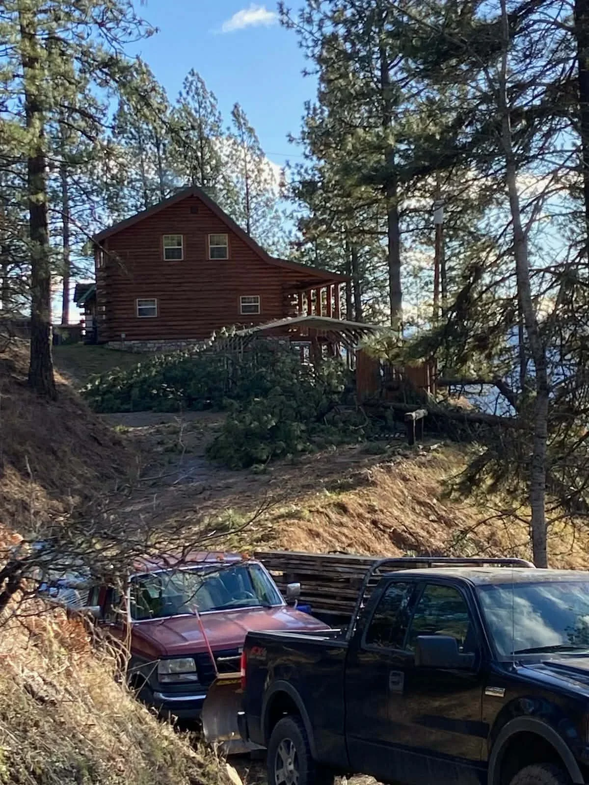 Log cabin on hillside with selective tree removal, mature conifers, cleared site access