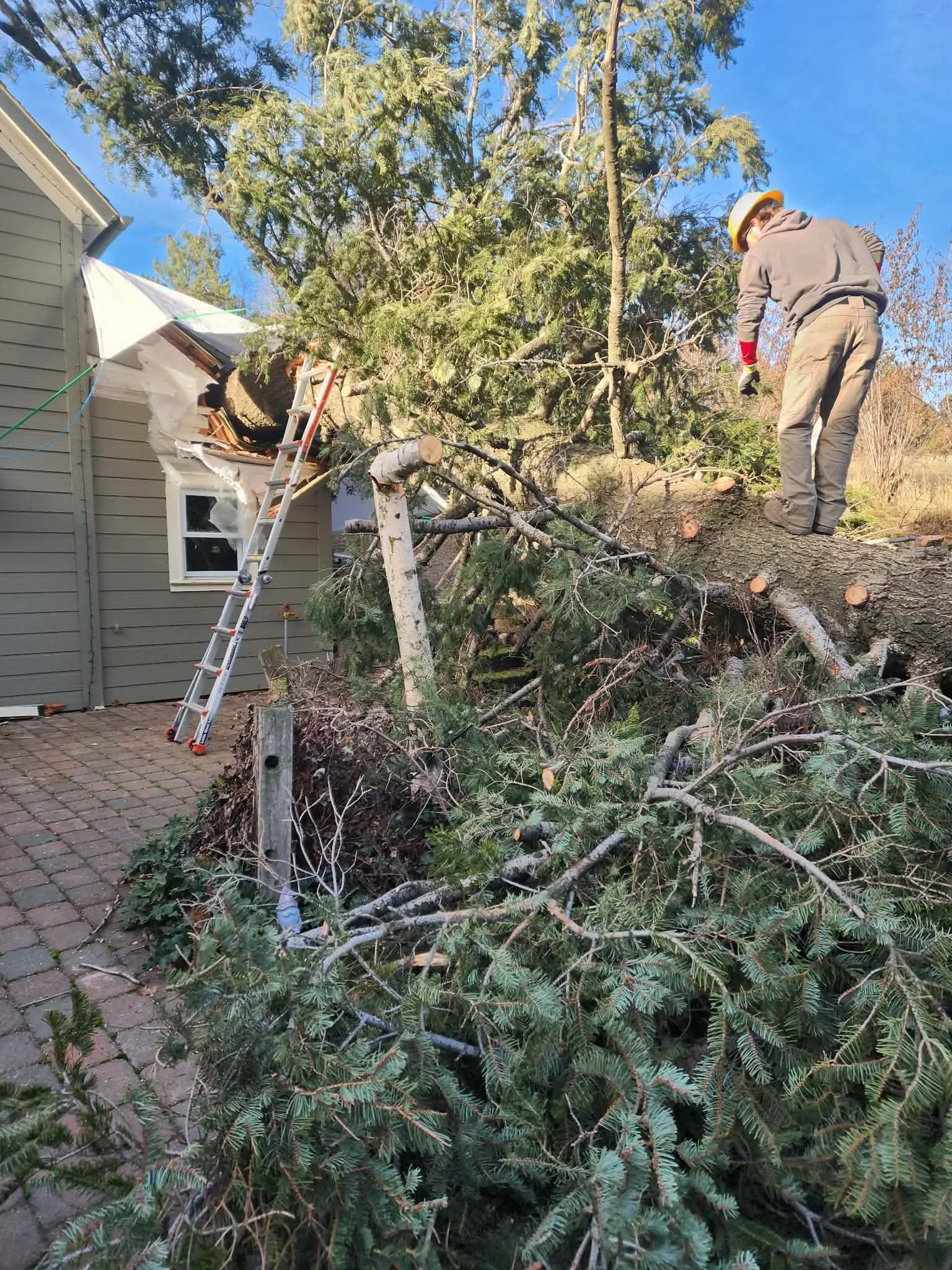 Tree removal crew cutting and clearing large fallen tree branches near residential home