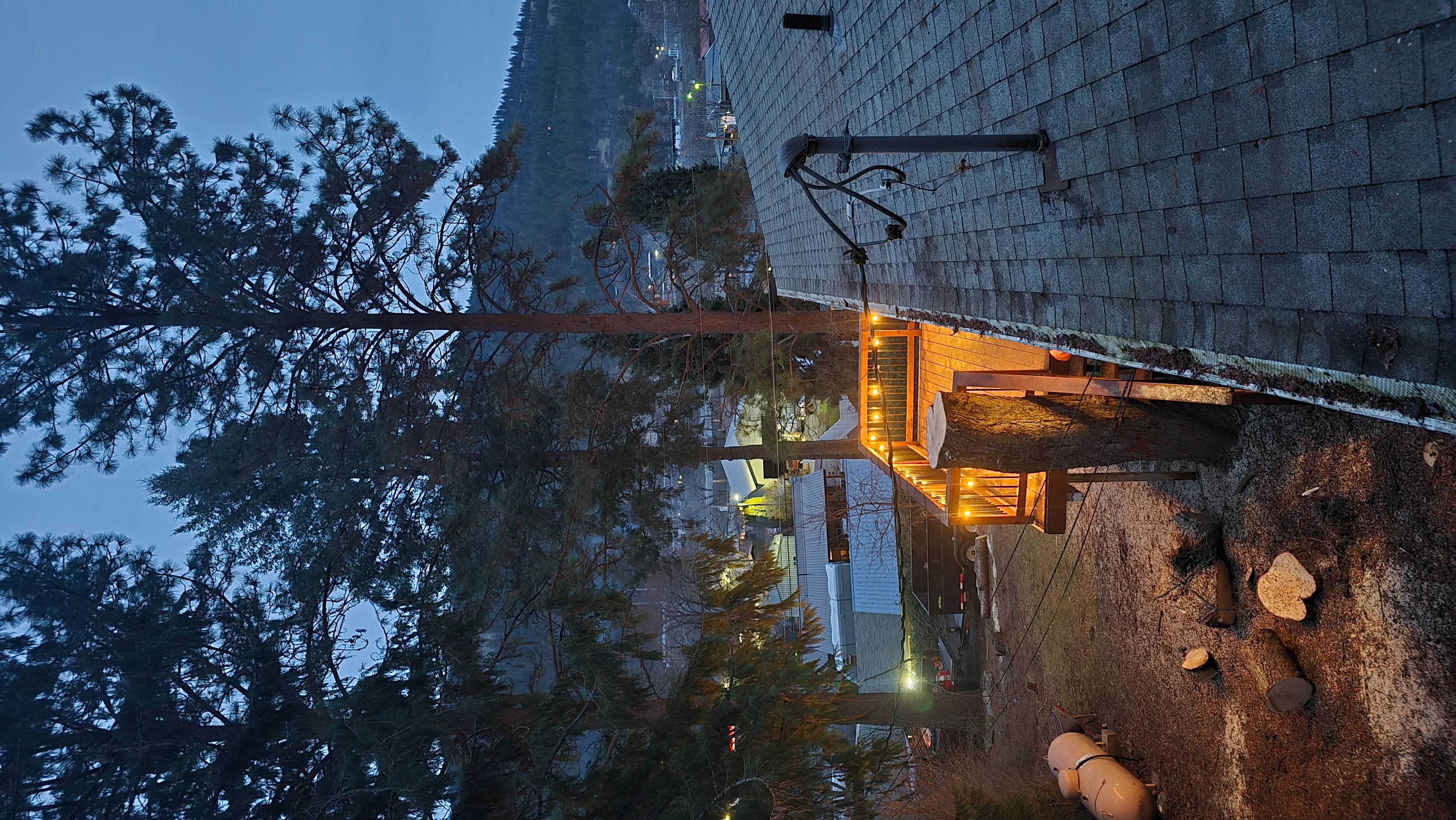 Large desert tree removal near residential building with cleared ground and stone foundation visible