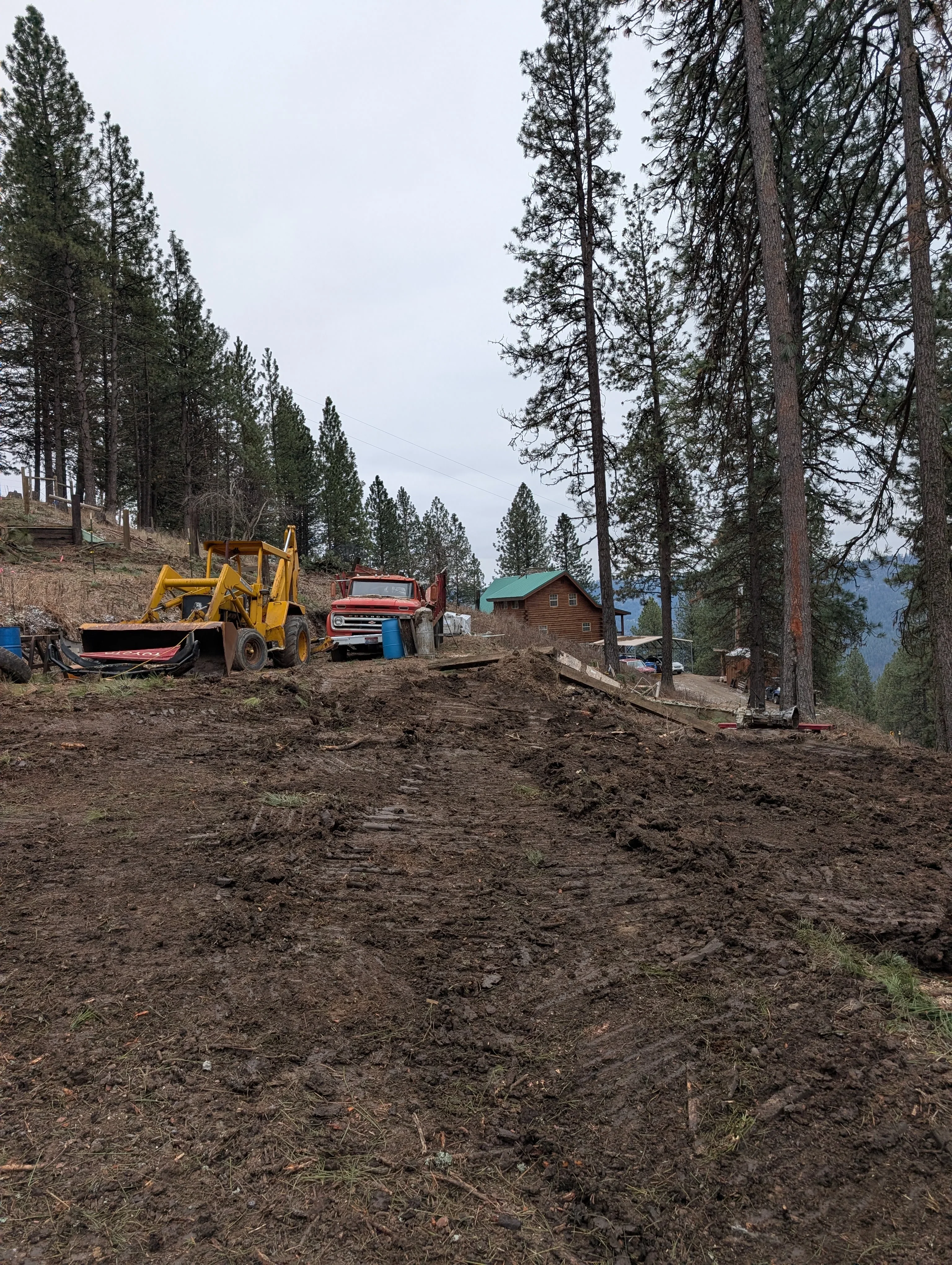 Yellow grader and red truck clearing forested land with tall pine trees and log cabin