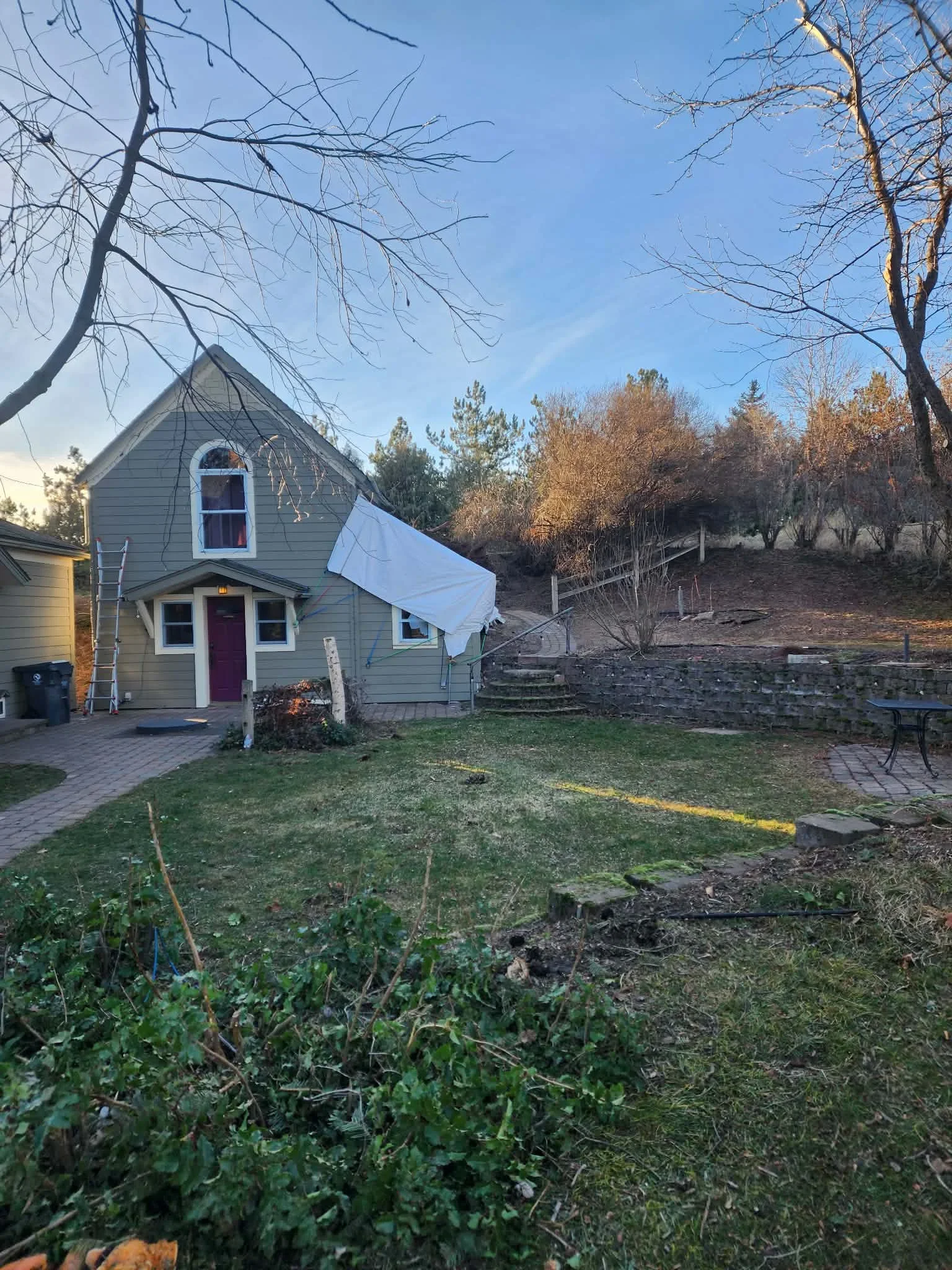 Residential home with cleared yard after tree removal, exposed soil and debris removal complete