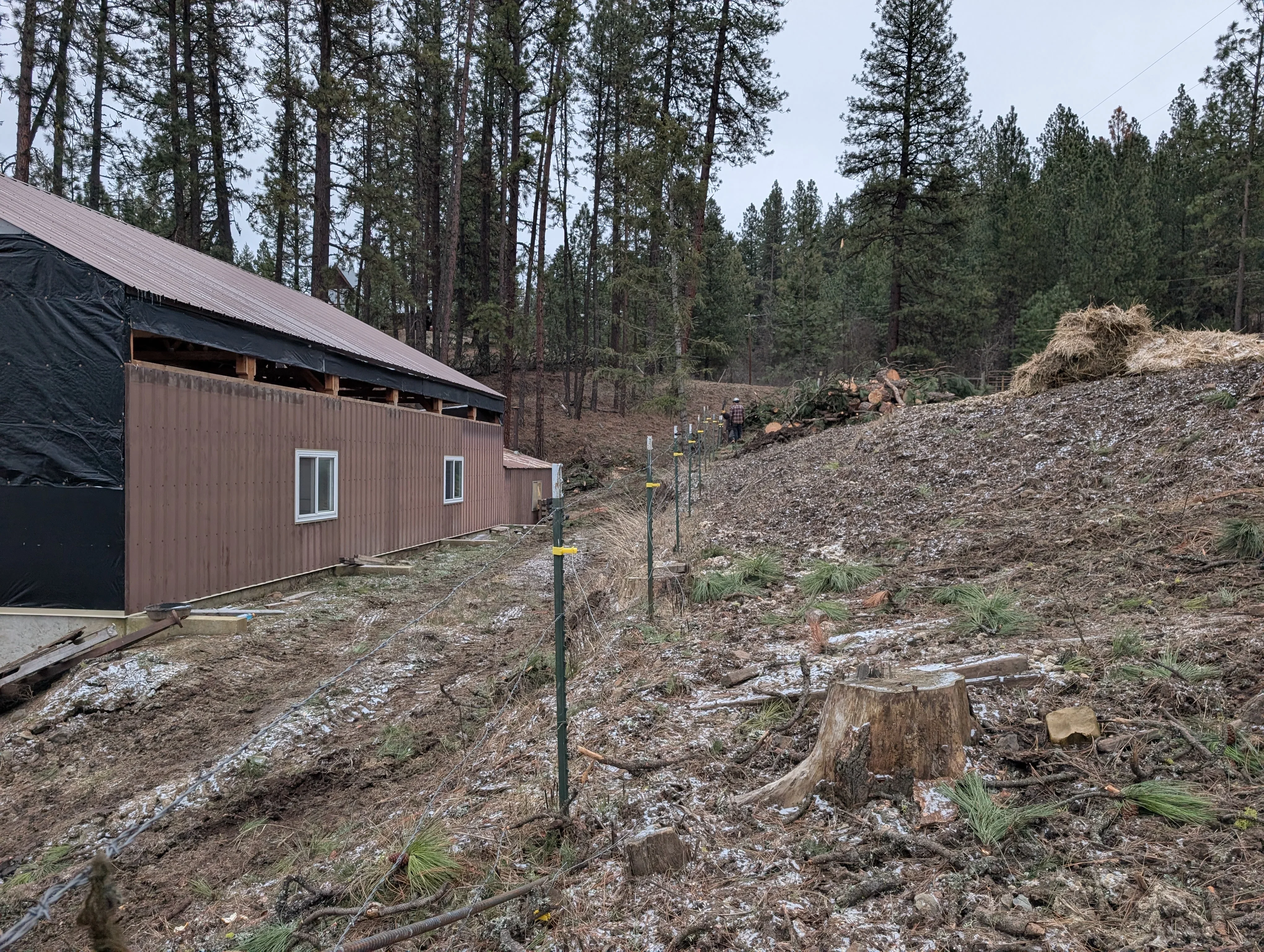 Cleared forest land with gravel base, wood debris piles, and metal post markers on sloped terrain