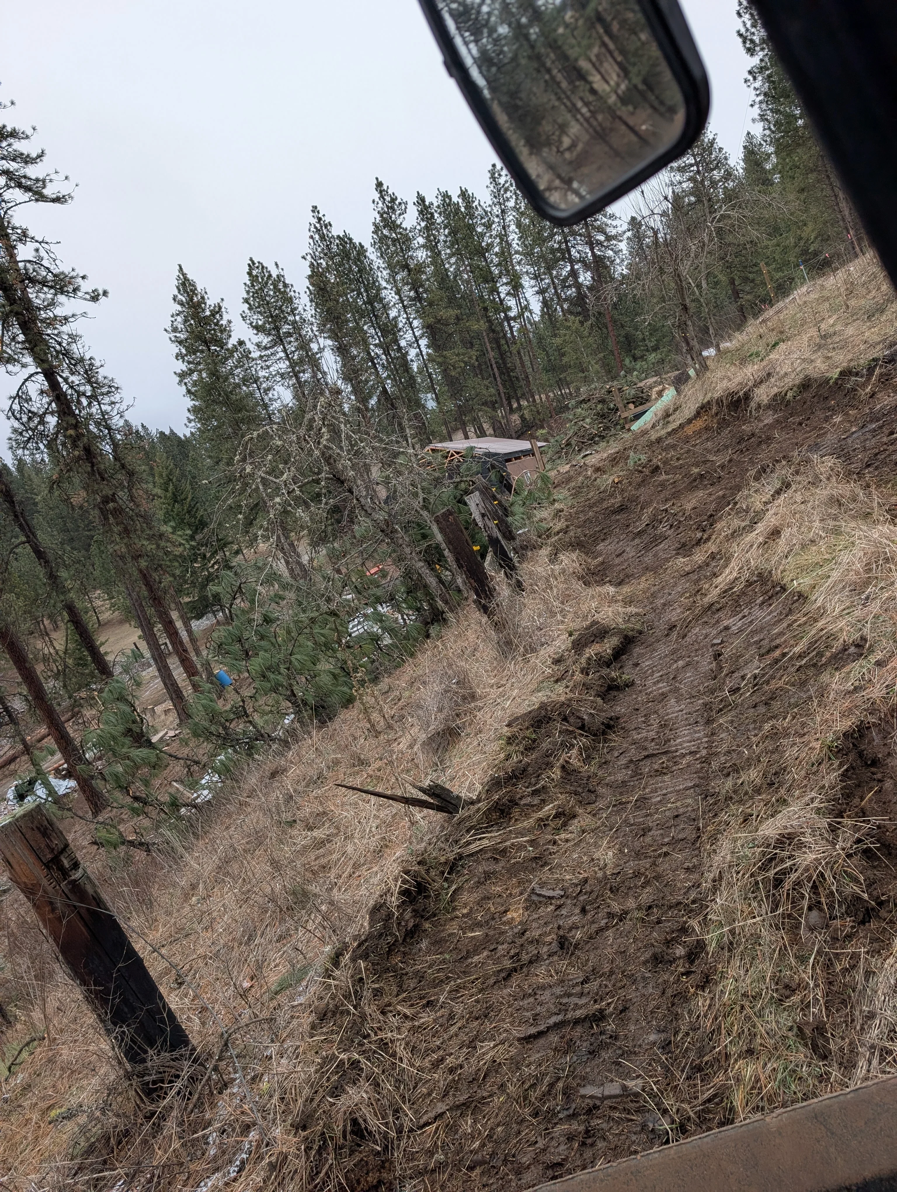 Steep hillside with removed trees, heavy equipment, and cleared debris among conifer forest