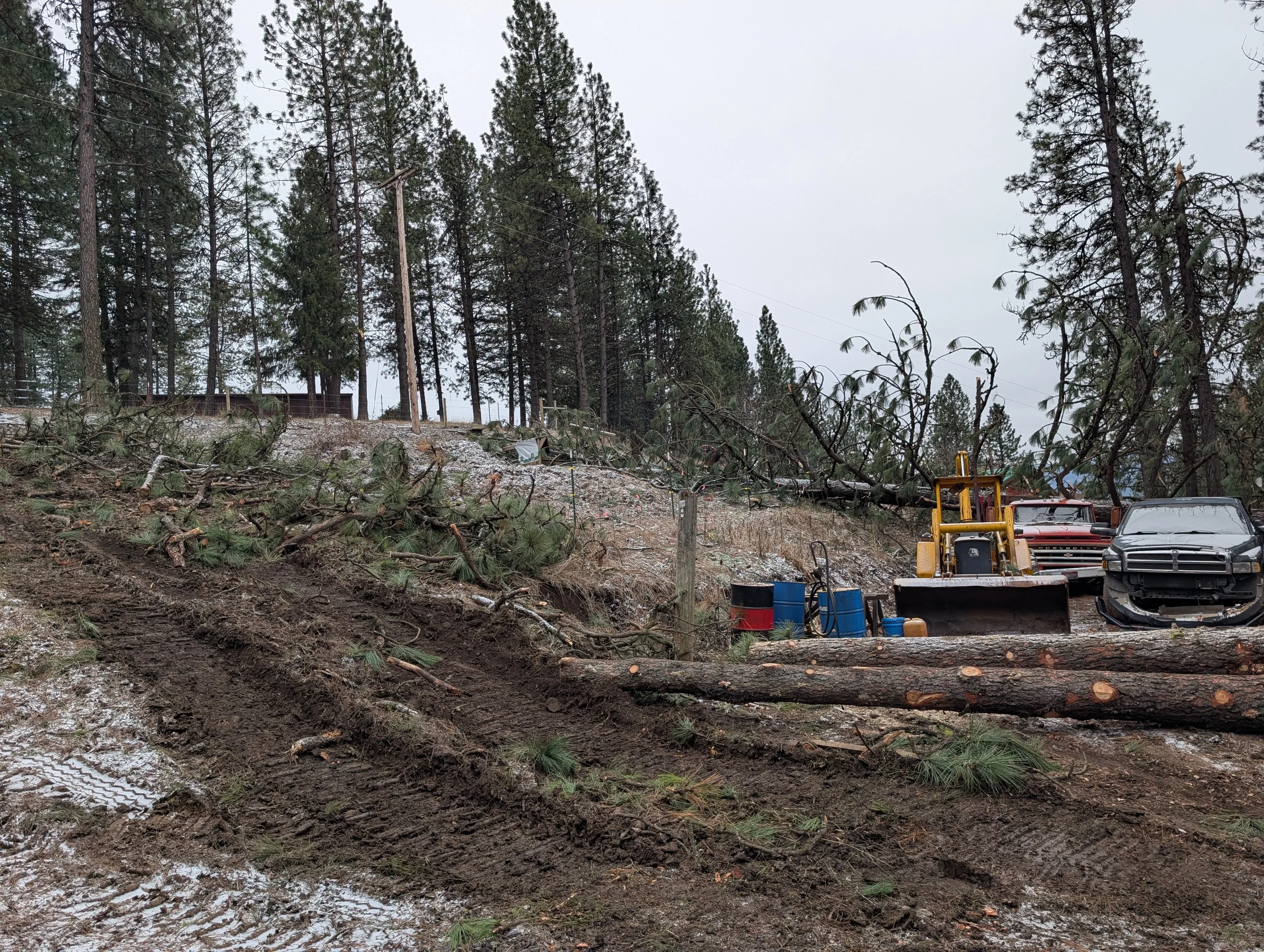 Bulldozer clearing fallen trees and debris from forested hillside with organized log piles