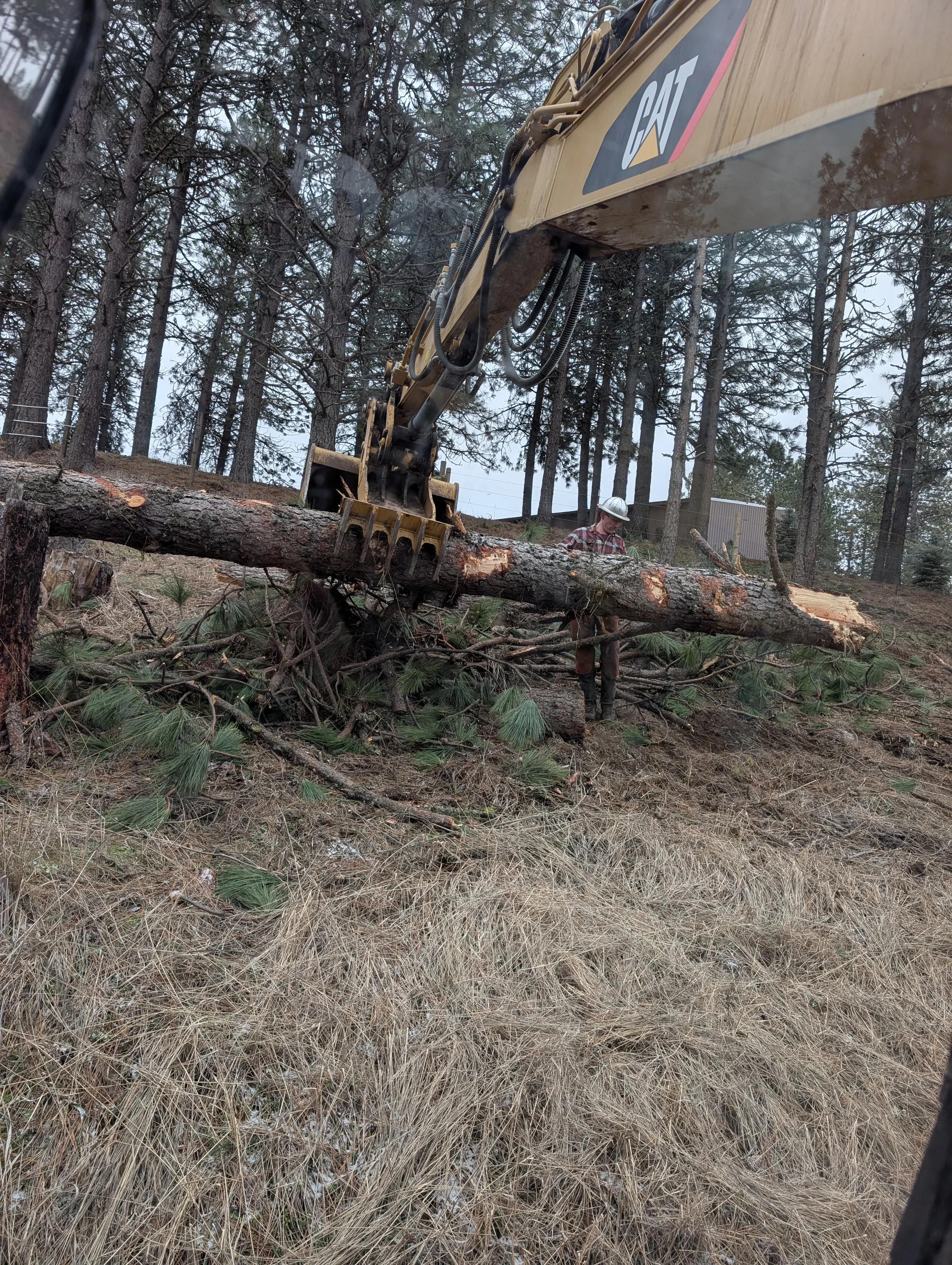 Excavator with grapple bucket handling large logs during wooded lot clearing operation