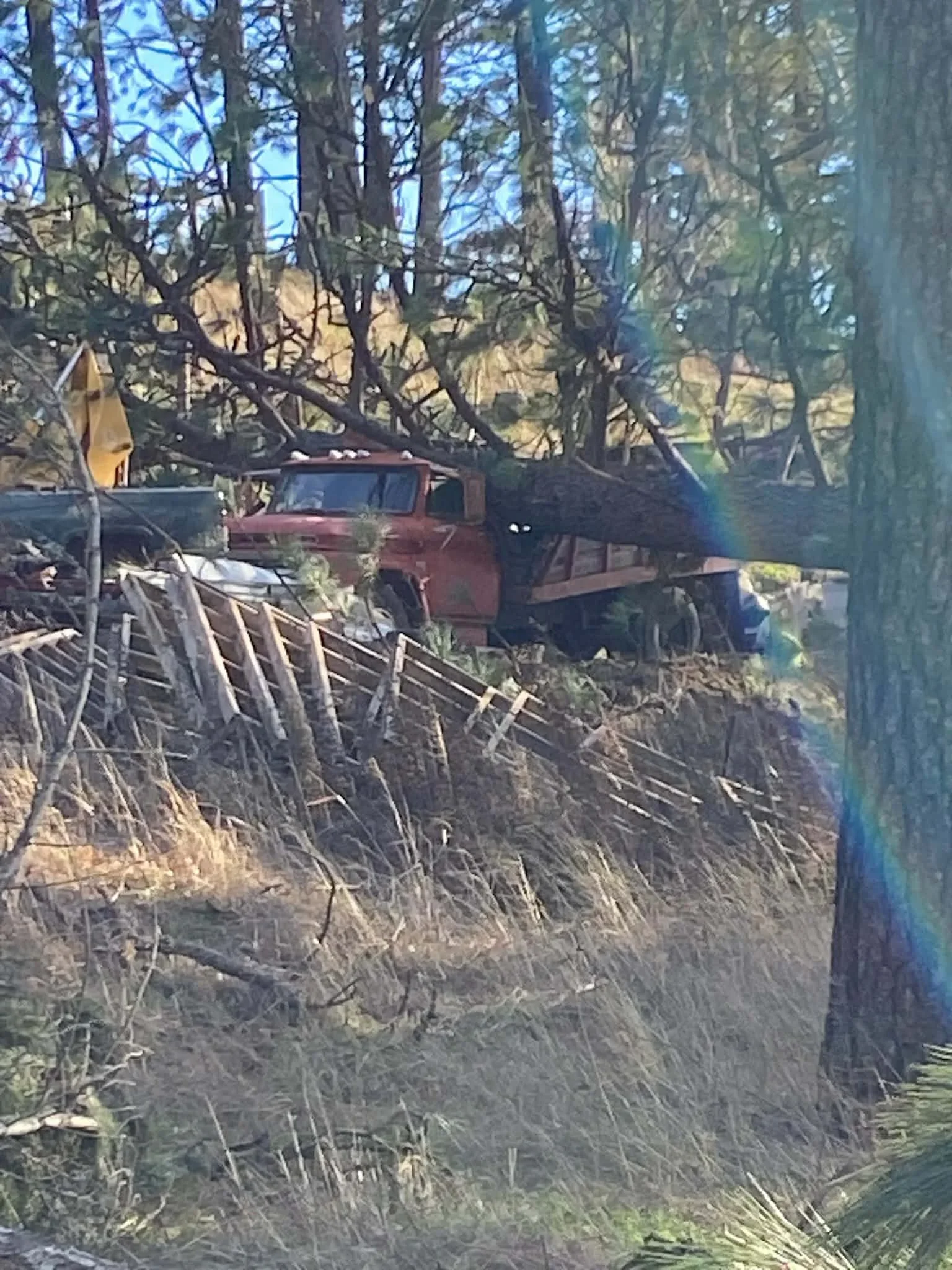 Cleared wooded lot with felled trees and removed brush, vintage truck on property